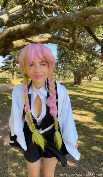 Animaechan