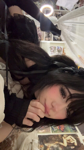 ashisbees