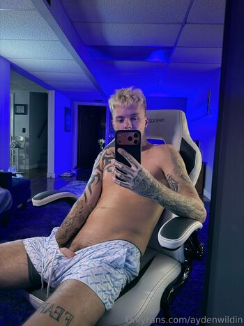 aydenwildin