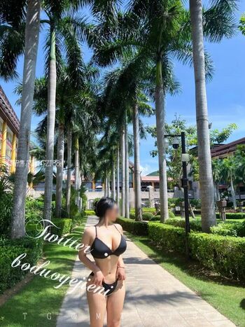 Boduoyejieni 妮妮子