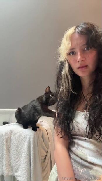 Catorina Catdodge