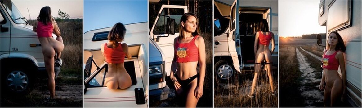 Cichoart