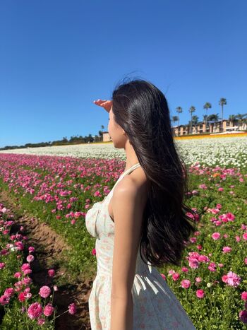 Cindy Phan