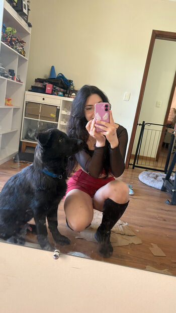 Danievedo