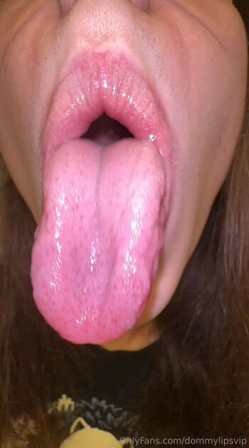 dommylipsvip