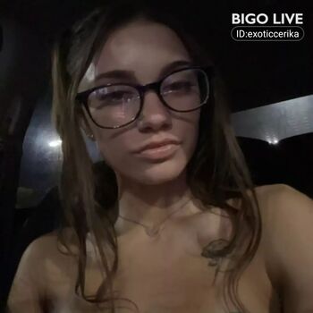 Exoticcerika