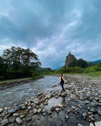 Frederika Alexis Cull