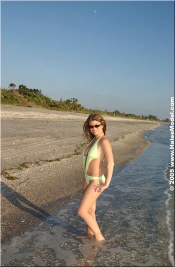 Halee Model