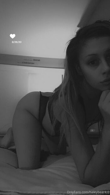 HaleyBear4.0