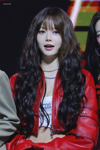 Hong Eunchae 홍은채