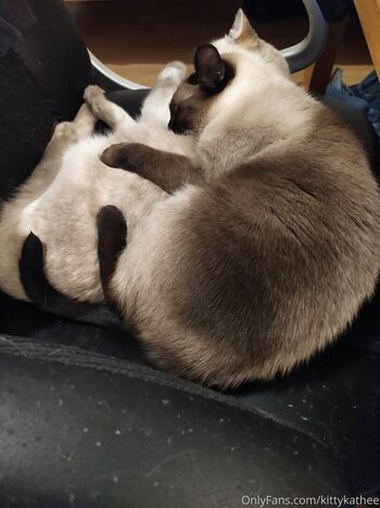 kittykathee