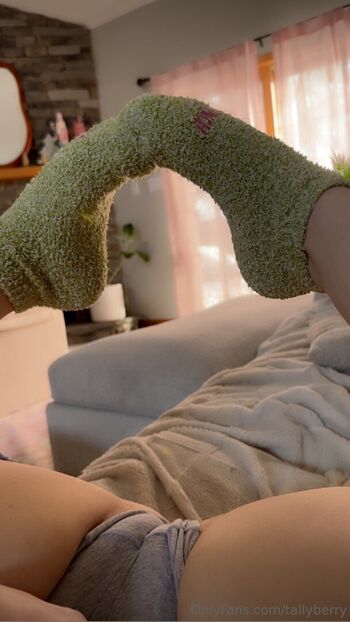 tallyberry / tallyberryy