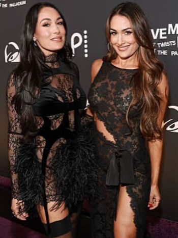 The Bella Twins