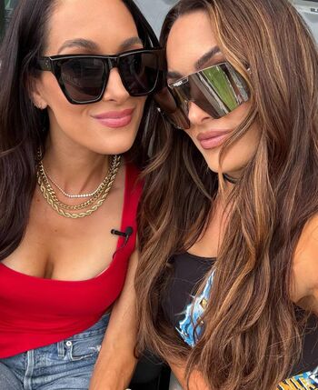 The Bella Twins